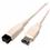 Cables Unlimited 6ft 9Pin to 6Pin IEEE 1394B Bilingual Firewire 800/400 Cable
